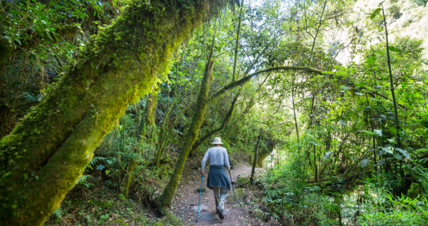 Flug vom Kilimanjaro International Airport nach Sansibar mit spektakulärem Blick auf Tansania Safari.