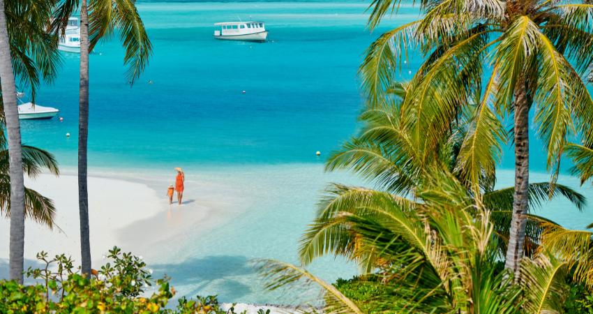 Seltenes Spitzmaulnashorn und riesige Elefanten im Ngorongoro-Krater, Tansania Safari.