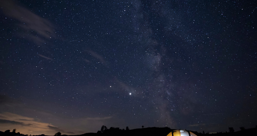 Große Elefantenherde im Tarangire Nationalpark, umgeben von wandernden Zebras, Gnus und Gazellen – ein Highlight einer Tansania Safari.