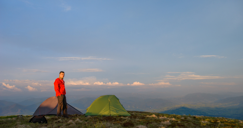 Große Elefantenherde im Tarangire Nationalpark, umgeben von Zebras, Gnus und Gazellen – ein Highlight einer Tansania Safari