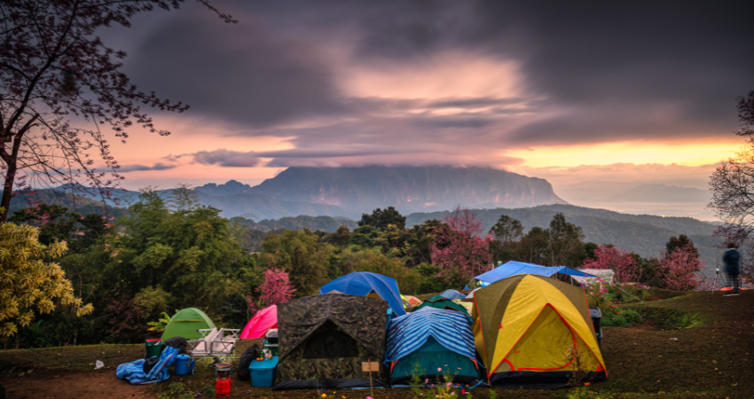 Atemberaubende Aussicht auf den Ngorongoro-Krater, eines der dichtesten Wildtiergebiete Afrikas – ideal für einen unvergesslichen Sansibar-Urlaub