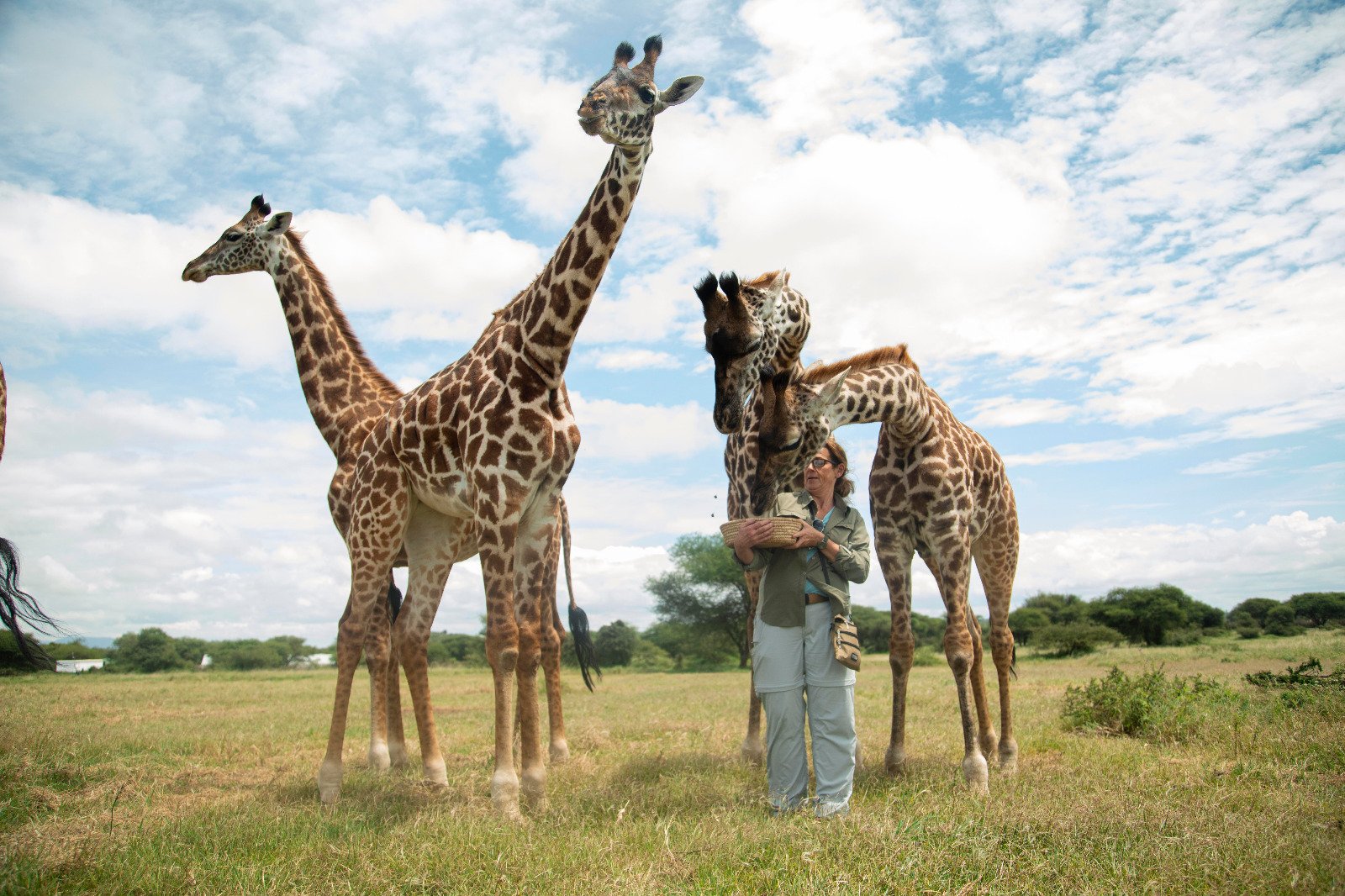 Touristen erkunden die Stadt mit einem lokalen Reiseleiter nach der Ankunft in Tansania Safari.