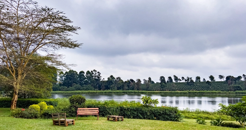 Atemberaubende Aussicht auf den Ngurdoto Krater und die Momella-Seen im Arusha Nationalpark, perfekt für eine Tansania Safari.