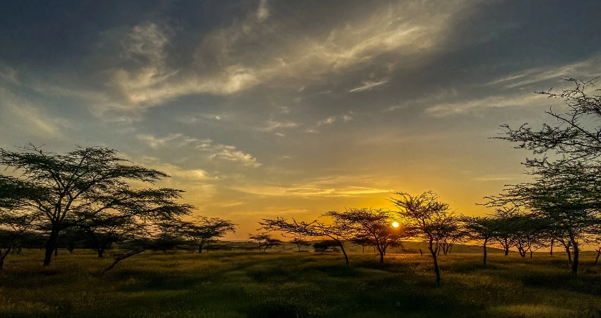 Atemberaubende Aussicht auf den Ngorongoro-Krater, eines der dichtesten Wildtiergebiete Afrikas – ideal für einen unvergesslichen Sansibar-Urlaub