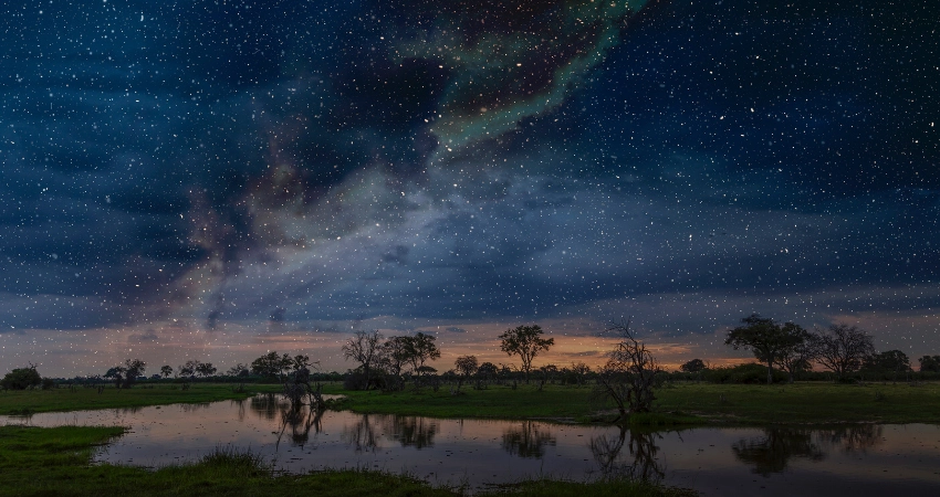 Seltenes Spitzmaulnashorn und riesige Elefanten im Ngorongoro-Krater, Tansania Safari.