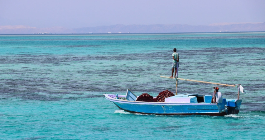 Geführter Tauchgang in Sansibar – Erkunden Sie die farbenfrohe Unterwasserwelt mit professioneller Ausrüstung