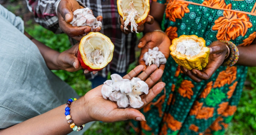Weiße Sandstrände von Sansibar mit kristallklarem Wasser – Perfekter Ort zum Entspannen und Genießen.