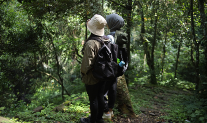 Atemberaubende Aussicht auf den Ngurdoto Krater und die Momella-Seen im Arusha Nationalpark, perfekt für eine Tansania Safari.