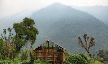 Flamingoschwärme und Affen im dichten Wald des Arusha Nationalparks nahe den Momella-Seen, perfekt für eine Safari Sansibar.