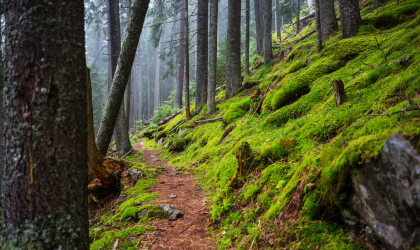 Elefantenherden im Tarangire Nationalpark suchen nach Wasser im trockenen Flussbett – ein unvergessliches Erlebnis auf Ihrer Safari Sansibar.