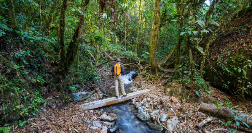 Atemberaubende Aussicht auf den Ngurdoto Krater und die Momella-Seen im Arusha Nationalpark, perfekt für eine Tansania Safari.