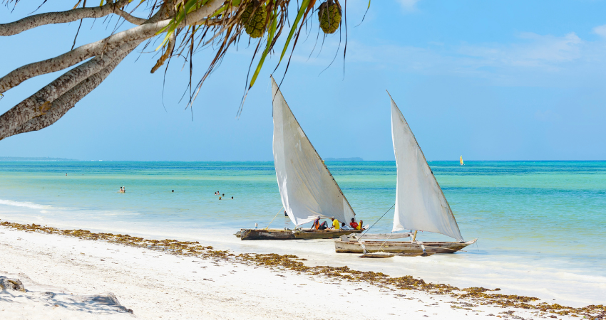 Traditionelle Bootstour und Schnorcheln in den türkisblauen Gewässern Sansibar.