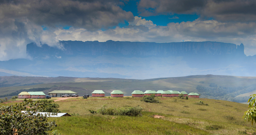 Flamingoschwärme und Affen im dichten Wald des Arusha Nationalparks nahe den Momella-Seen, perfekt für eine Safari Sansibar.