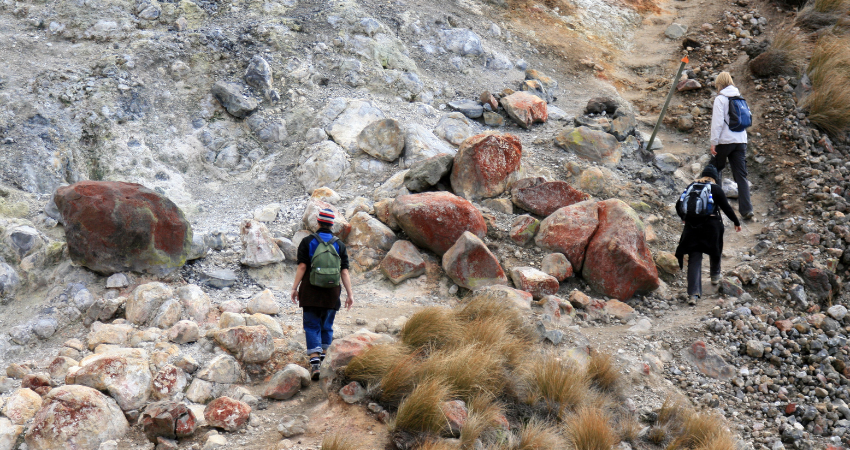 Große Elefantenherde im Tarangire Nationalpark, umgeben von wandernden Zebras, Gnus und Gazellen – ein Highlight einer Tansania Safari.