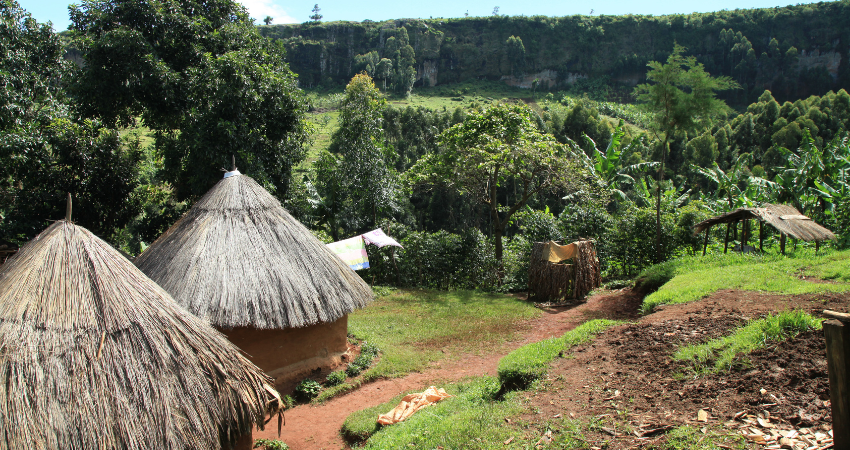 Flug vom Kilimanjaro International Airport nach Sansibar mit spektakulärem Blick auf Tansania Safari.