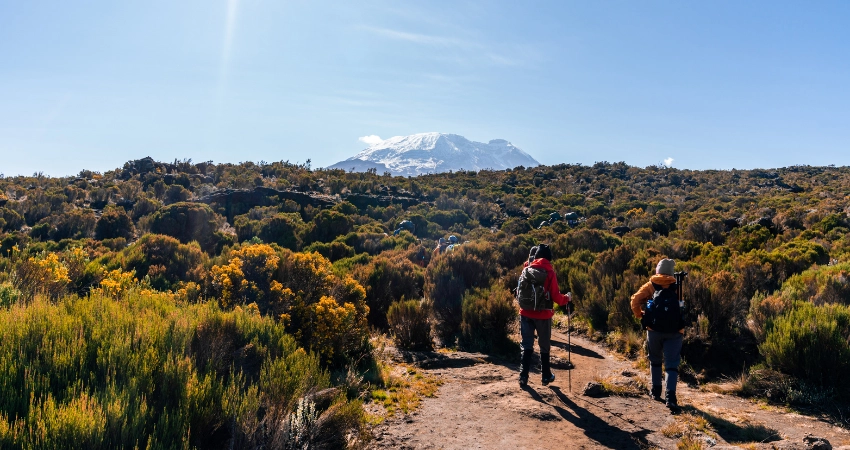 Panoramablick auf den Tarangire Nationalpark mit Baumsavannen, Affenbrotbäumen und dem Tarangire River – perfekt für eine unvergessliche Tansania Safari.
