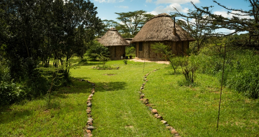 Tausende Gnus und Zebras während der großen Migration in der Serengeti, Tansania Safari.