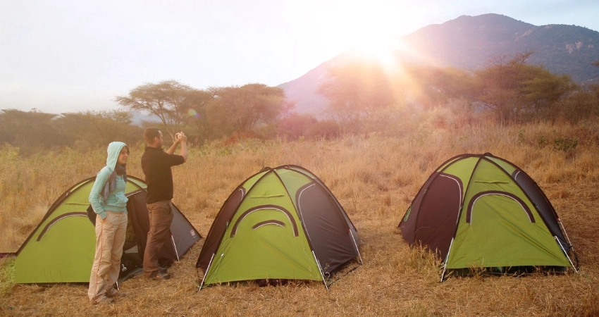 Seltenes Spitzmaulnashorn und riesige Elefanten im Ngorongoro-Krater, Tansania Safari.