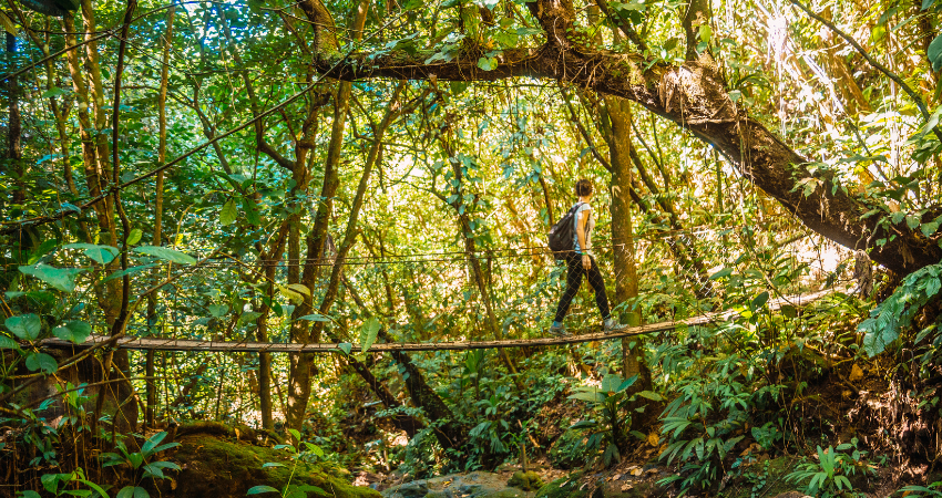 Traditionelle Bootstour und Schnorcheln in den türkisblauen Gewässern Sansibar.