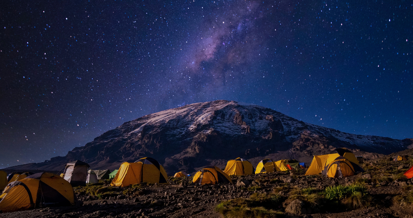 Große Elefantenherde im Tarangire Nationalpark, umgeben von wandernden Zebras, Gnus und Gazellen – ein Highlight einer Tansania Safari.