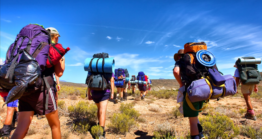 Tausende Gnus und Zebras während der großen Migration in der Serengeti, Tansania Safari.