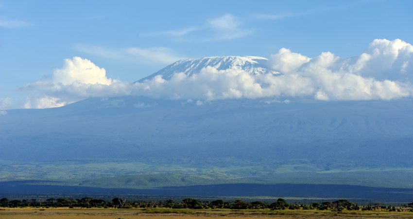 Seltenes Spitzmaulnashorn und riesige Elefanten im Ngorongoro-Krater, Tansania Safari.