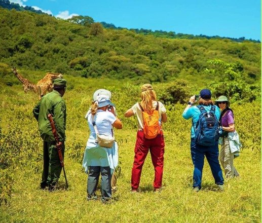 Elefantenherden im Tarangire Nationalpark suchen nach Wasser im trockenen Flussbett – ein unvergessliches Erlebnis auf Ihrer Safari Sansibar.