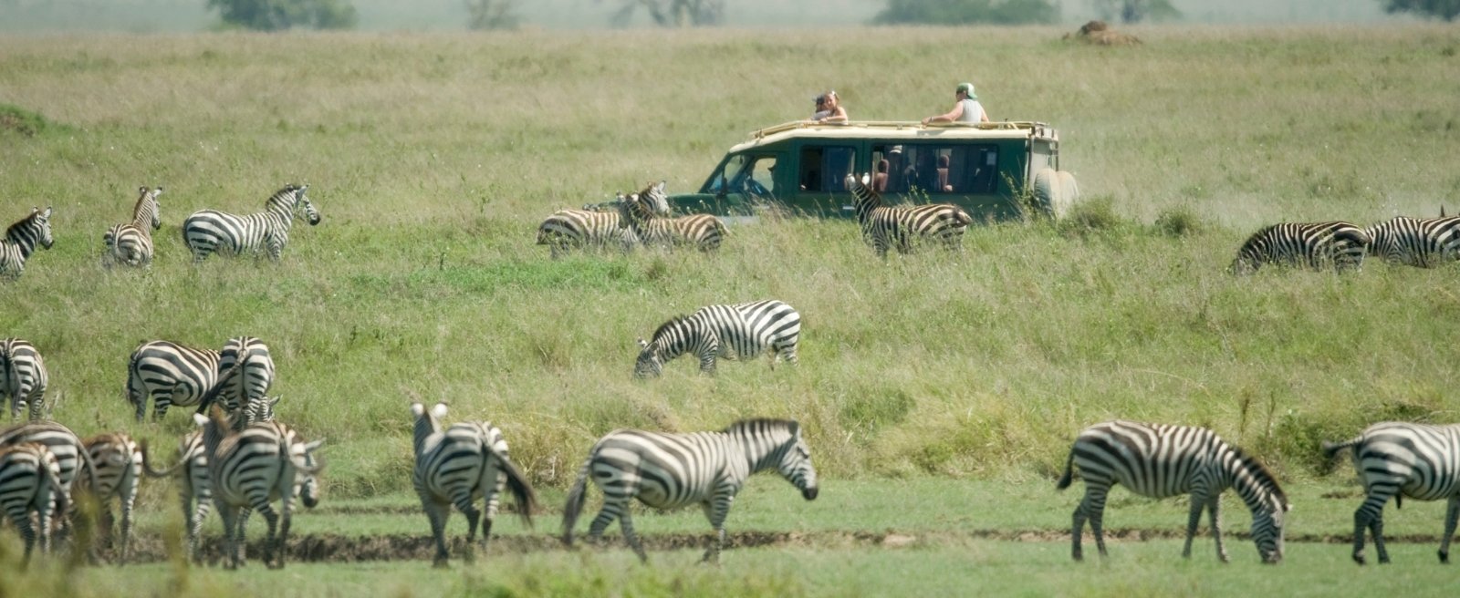 11 Tage Safari und Sansibar