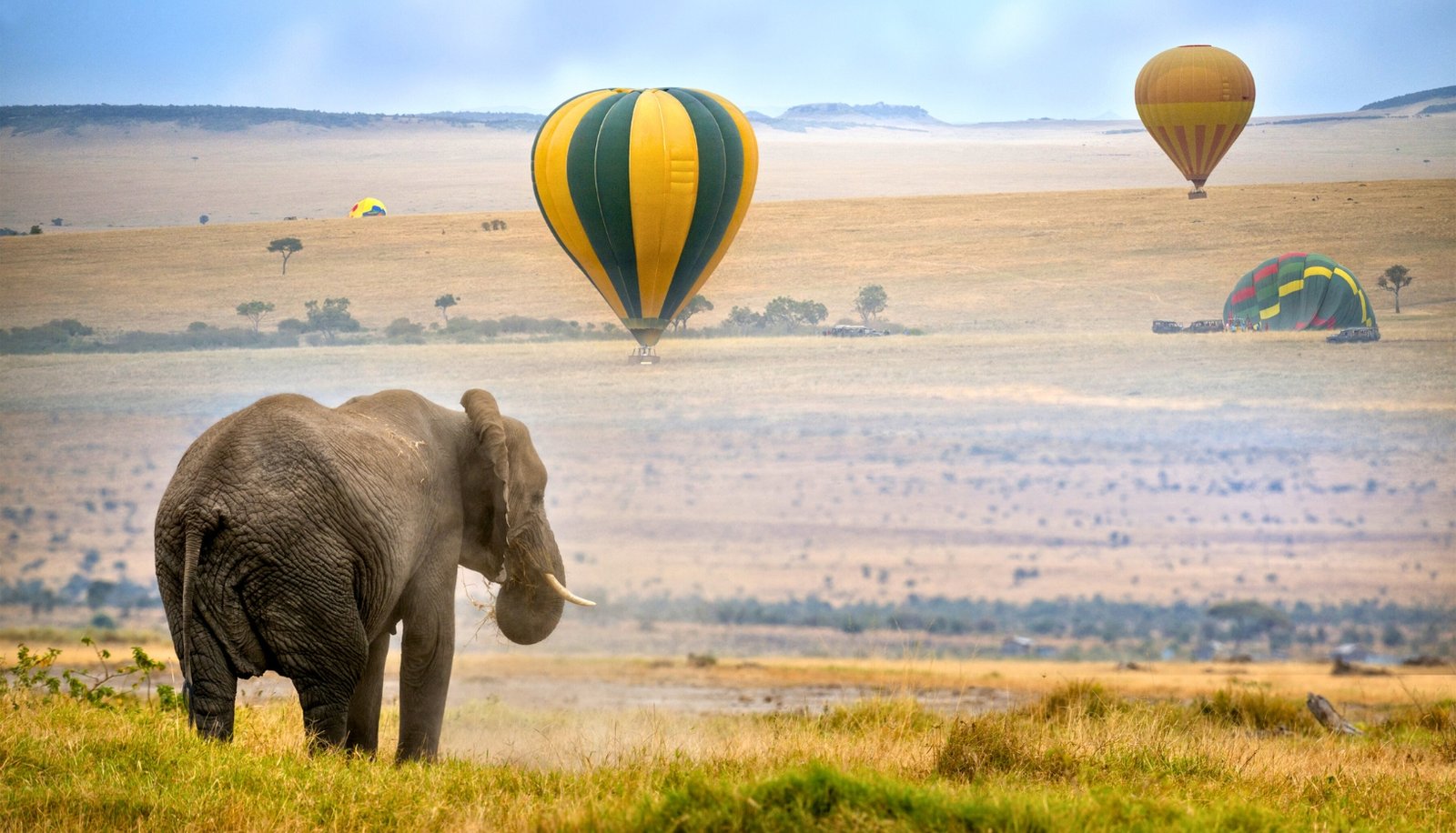 Exklusive Luxus-Safaris & Sansibar