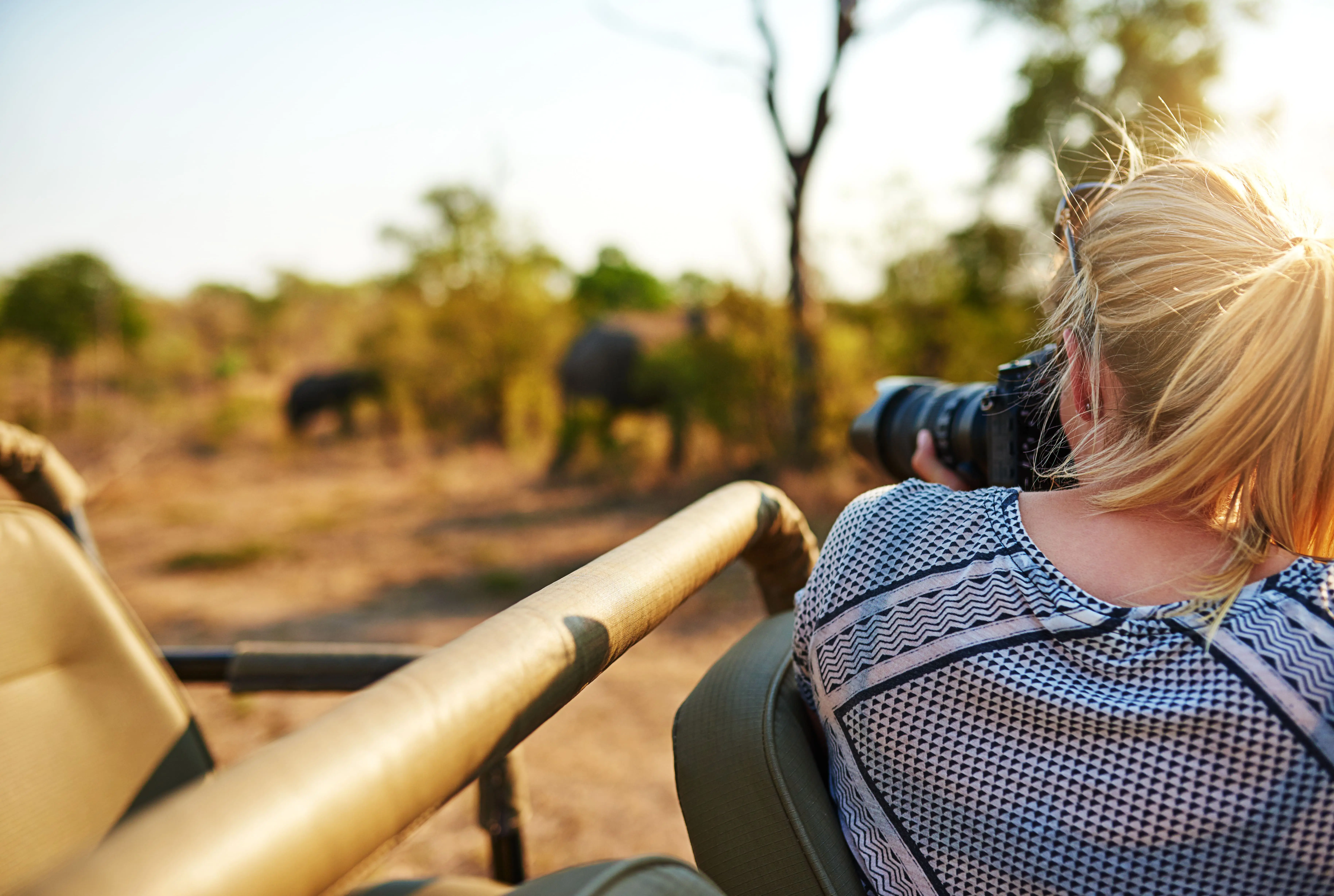 Safari und Sansibar