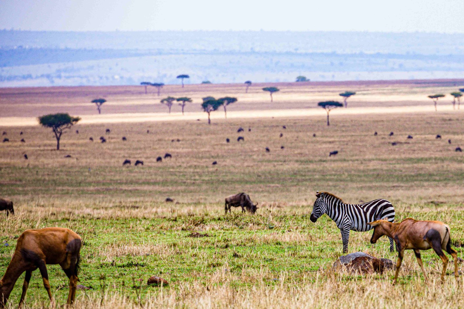 Tansania Sehenswürdigkeiten