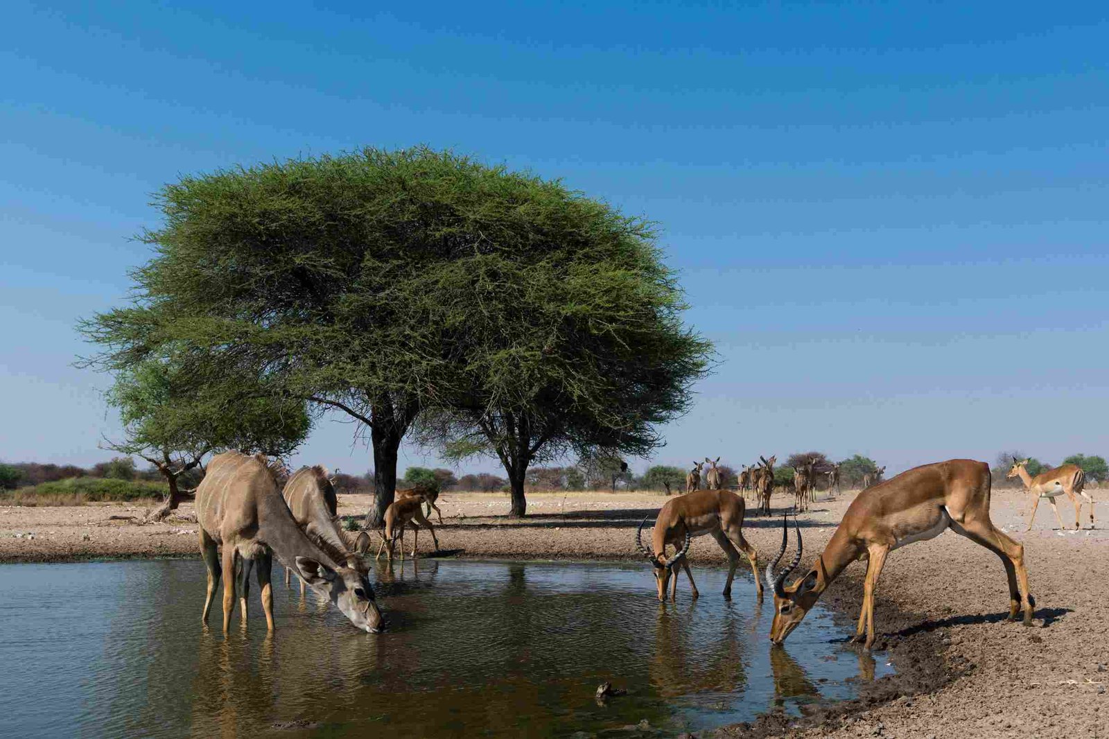 Gaborone Game Reserve