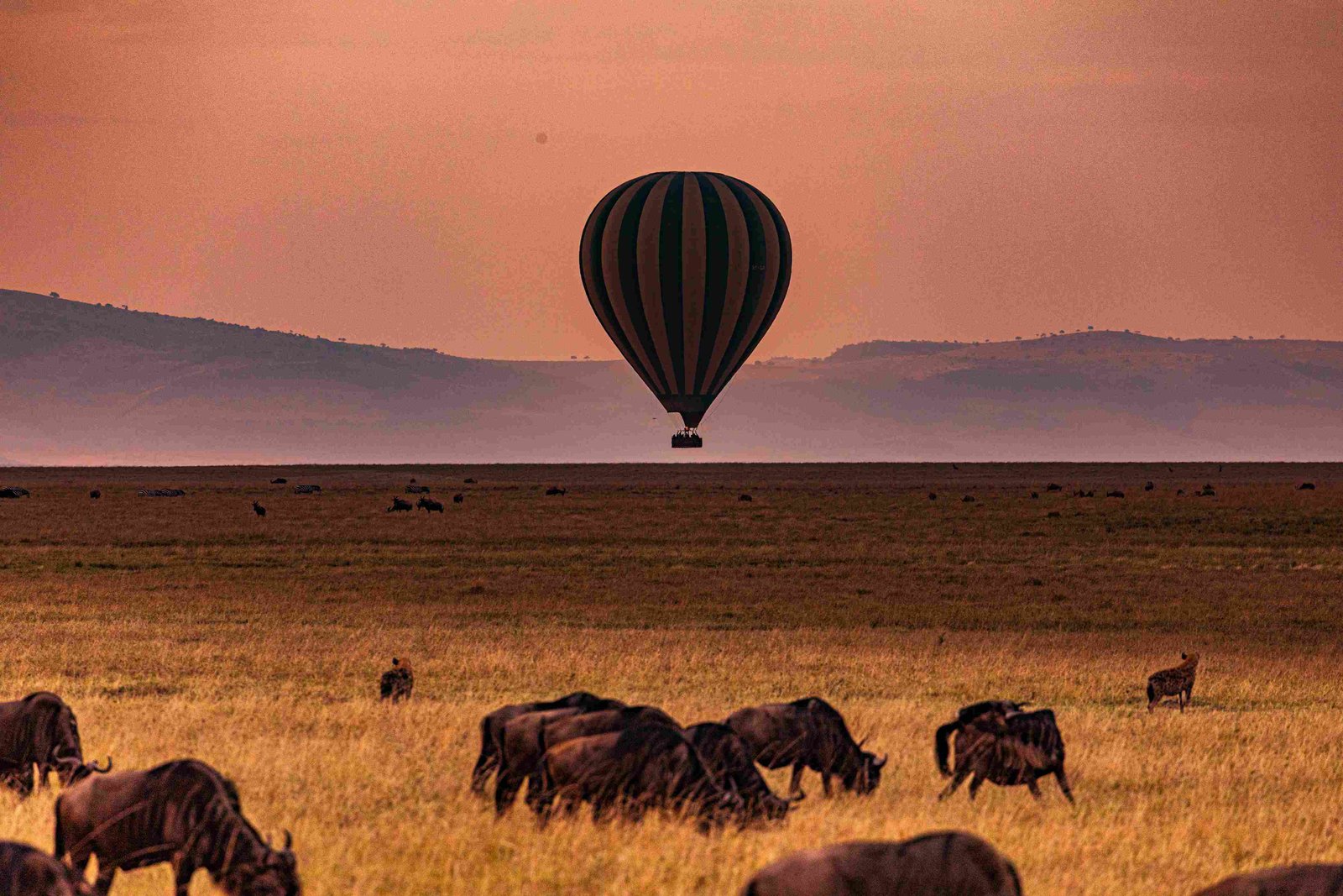 Serengeti Nationalpark