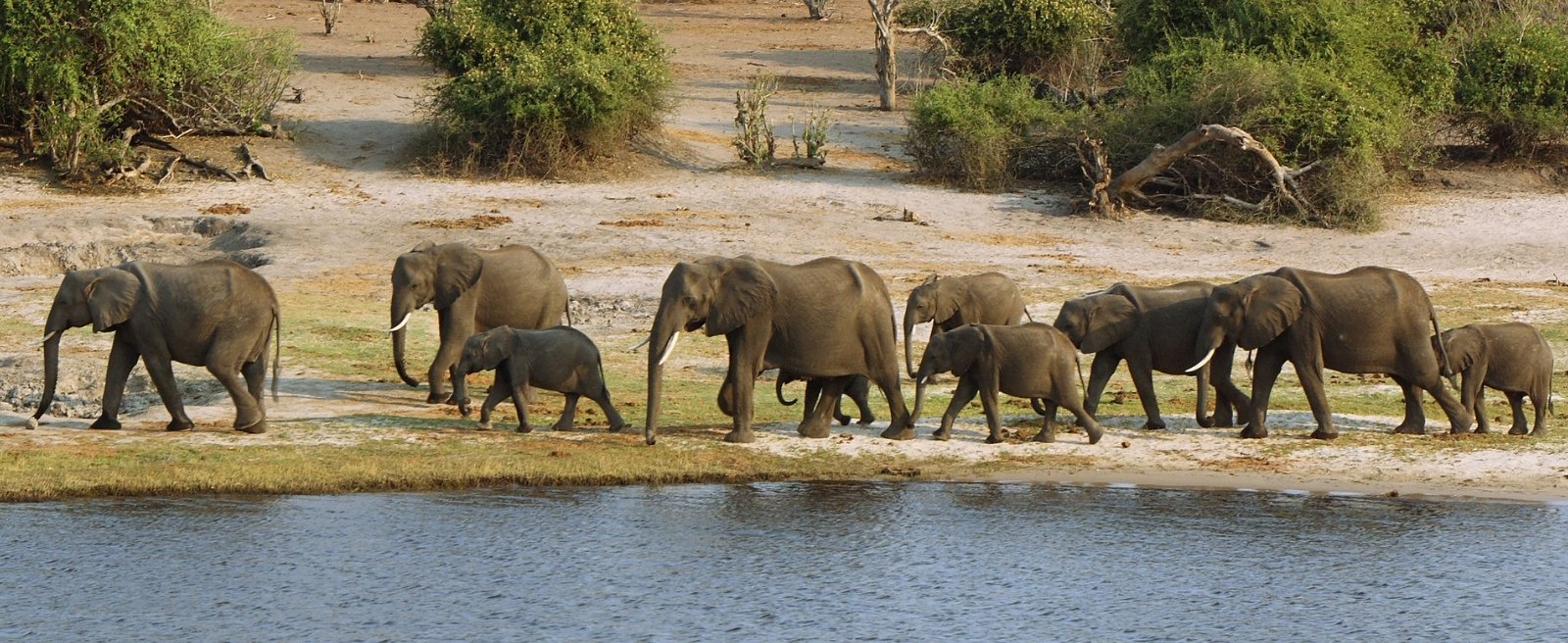 10-Tage Safari Abenteuer – Südafrika