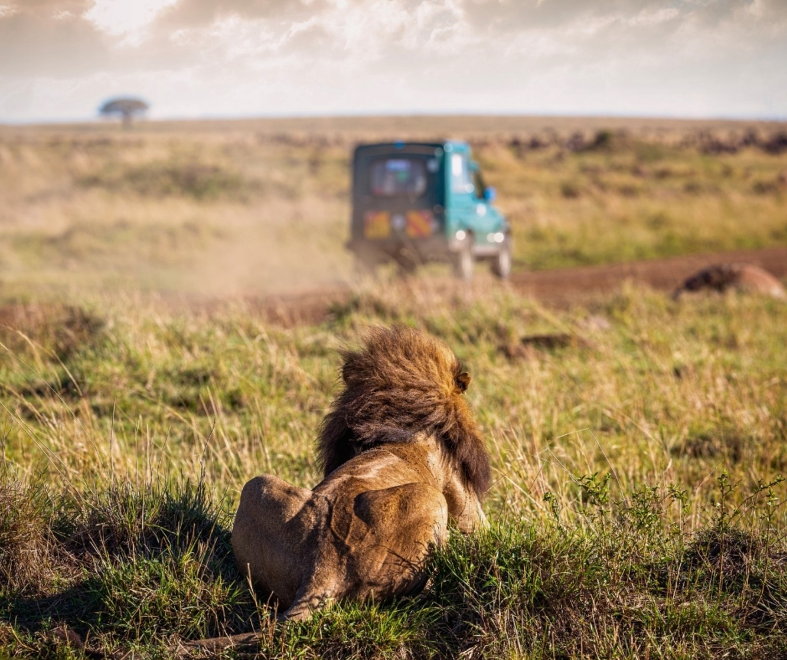 Namibia Safari Kosten
