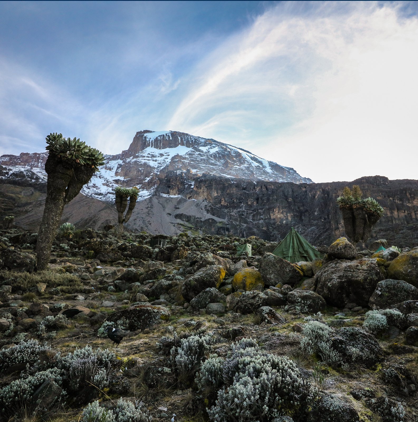 Kilimanjaro Trekking Neujahr