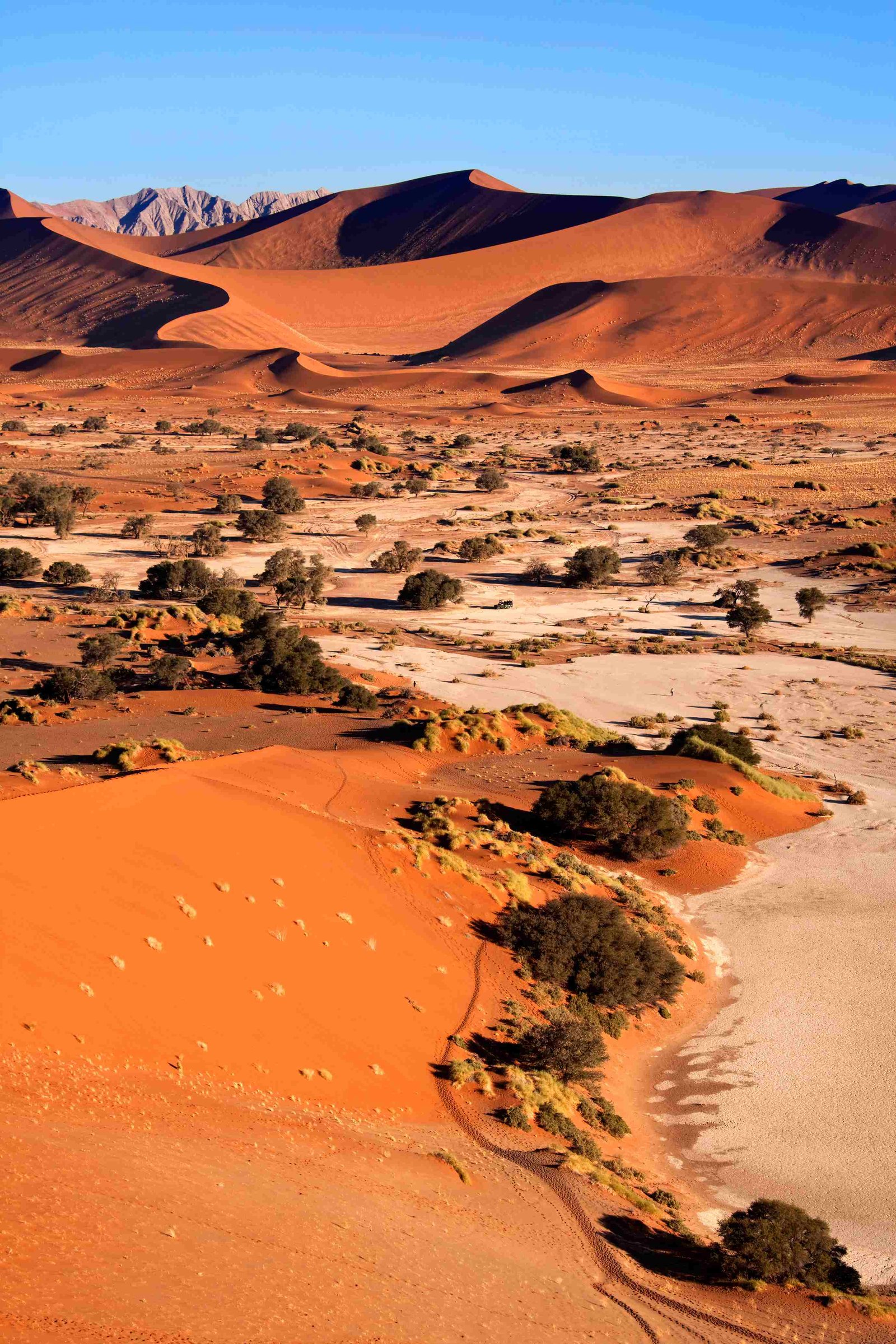 Namibia Landschaft in der Trockenzeit