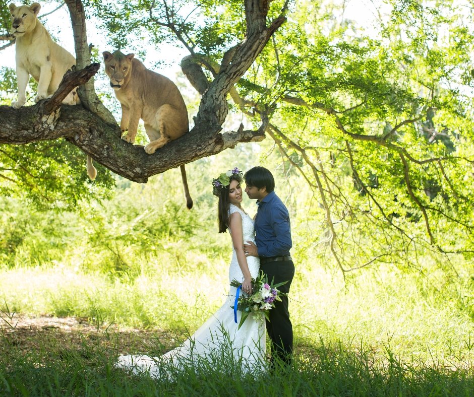 Romantische Luxusreisen für Zwei – Safari & Sansibar