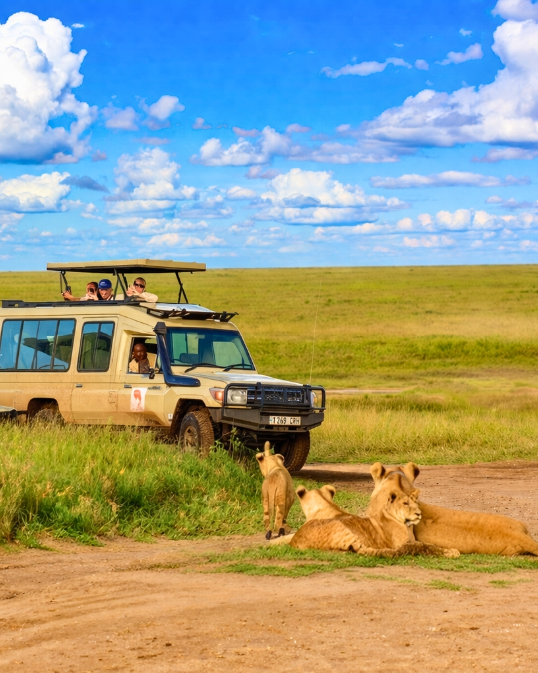 Safari Abenteuer mit Löwen