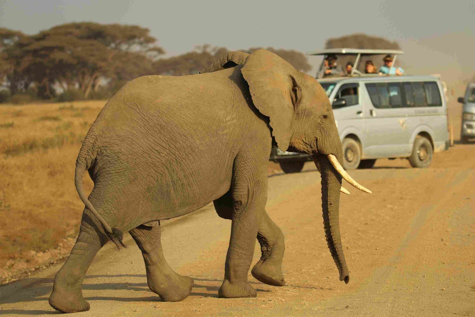 Waterberg Plateau Park