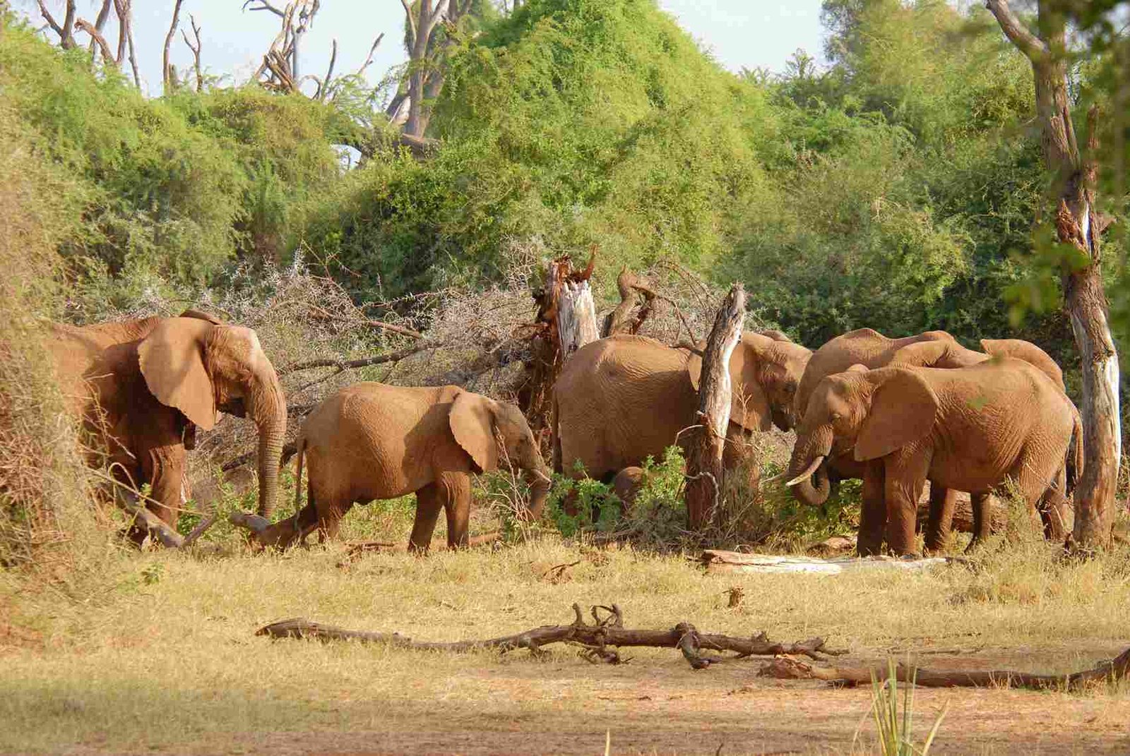 Tsavo Ost Nationalpark