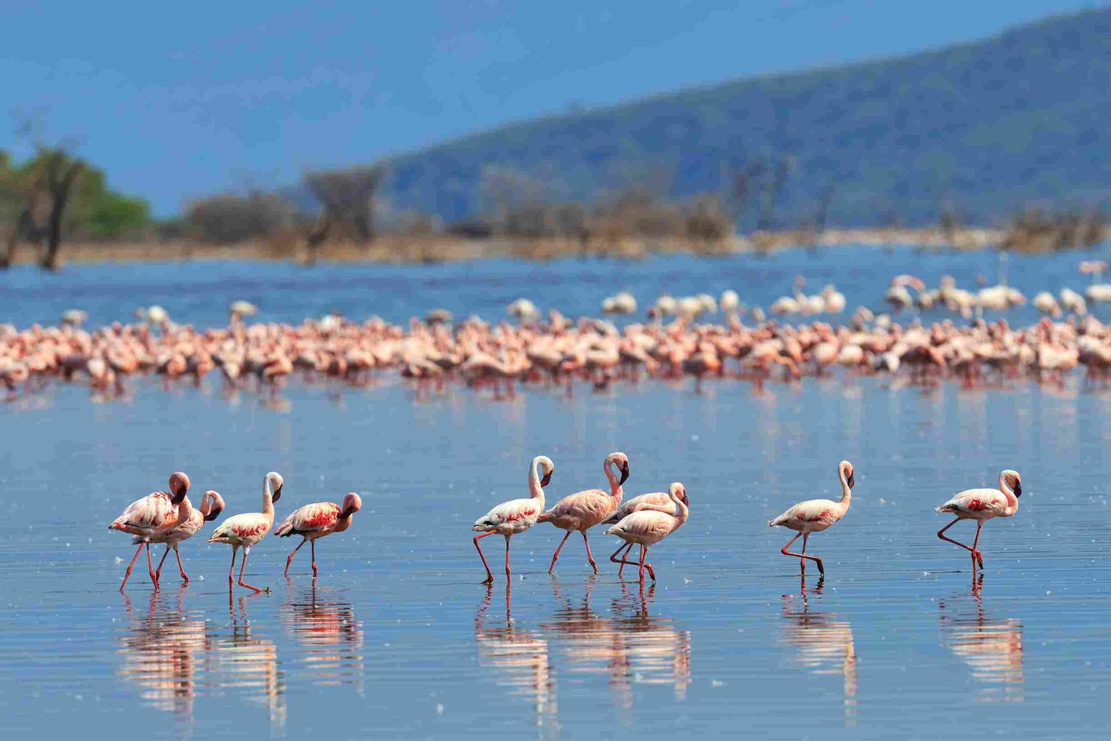 Kanufahrt auf den Momella Seen