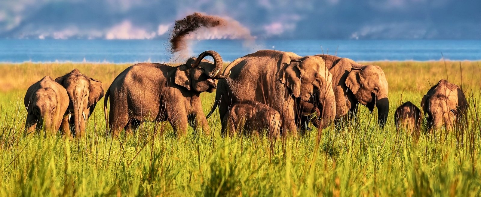 Liebe auf Safari Gestaltung - Paar bei der Planung ihrer wissenschaftlich fundierten Paartherapie in Tansania