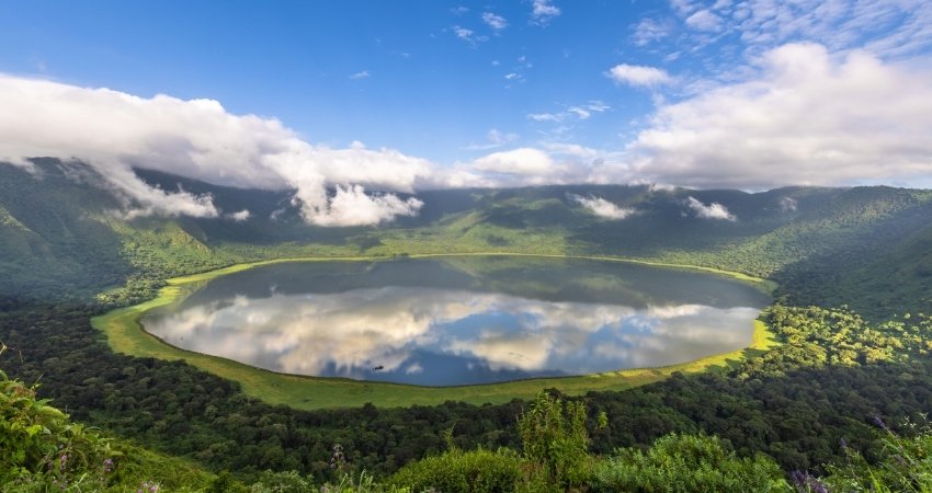 Elephants in the wild - incredible wildlife encounters
