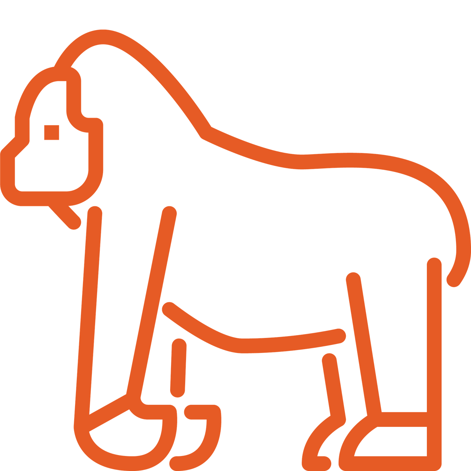 Safari Kosten