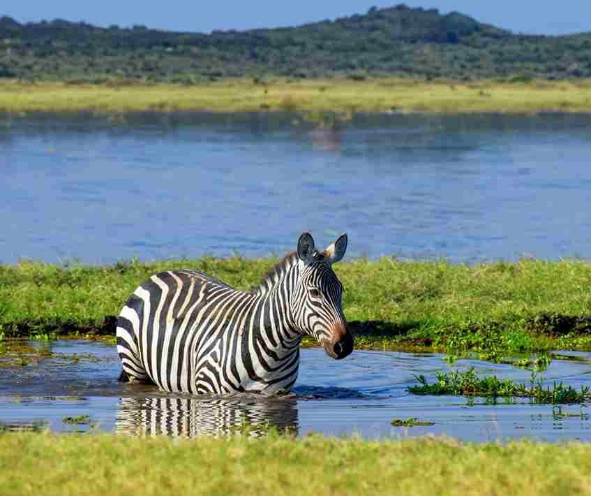 Kenia