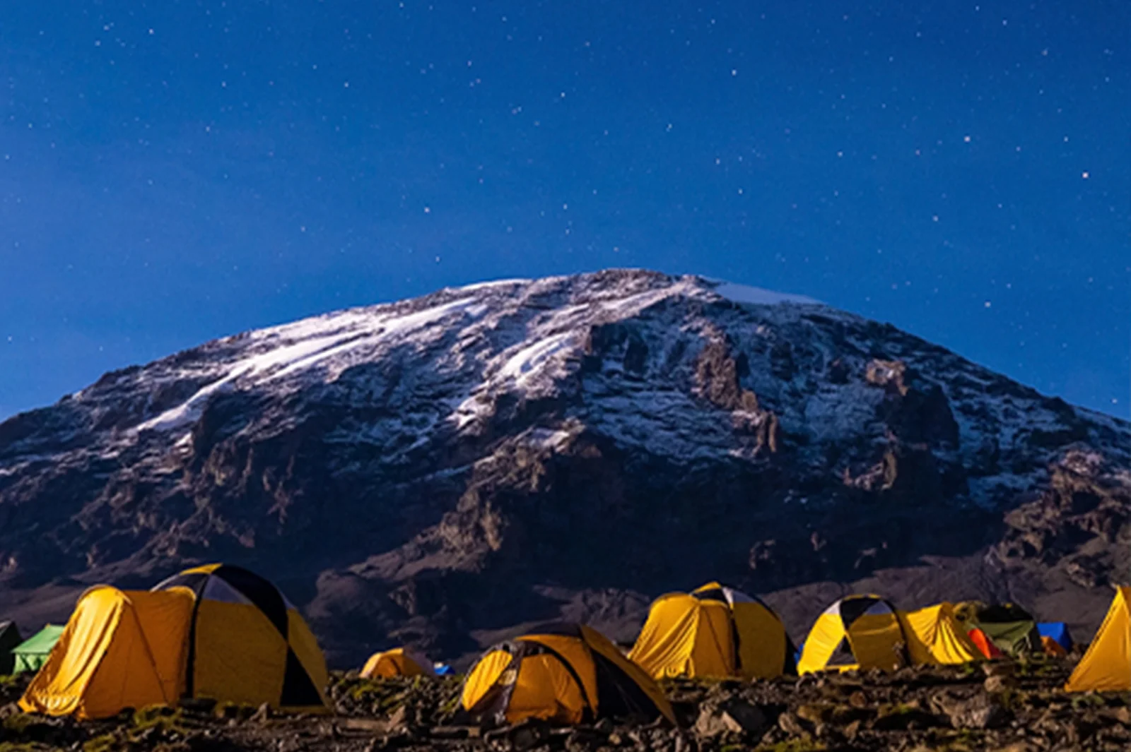 Big 5 Safari Tansania