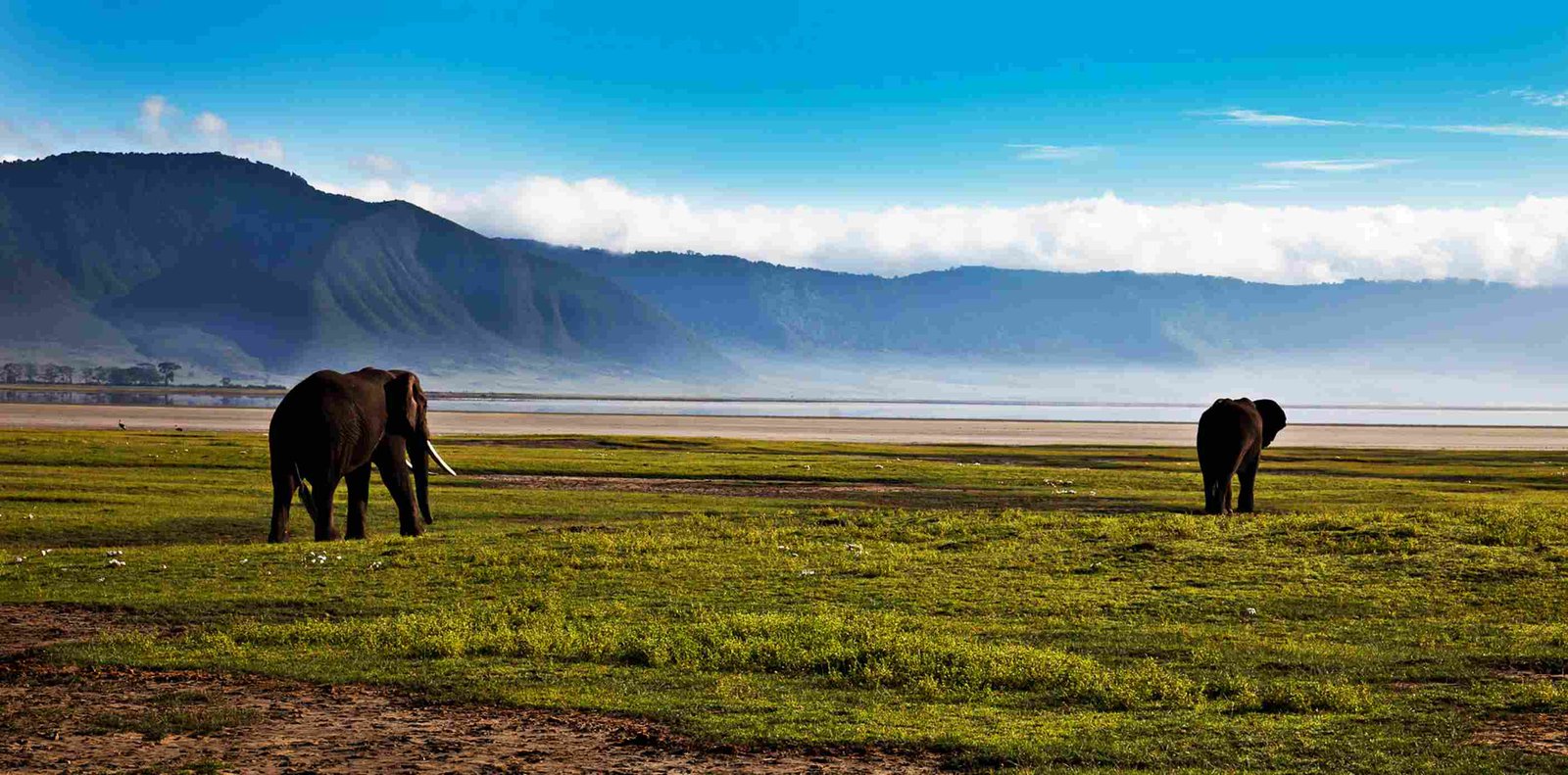 Ngorongoro Krater - Blick von oben