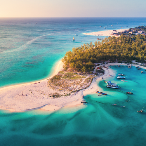 Africa Great Migration Safari Style Zebra Masai Mara MH