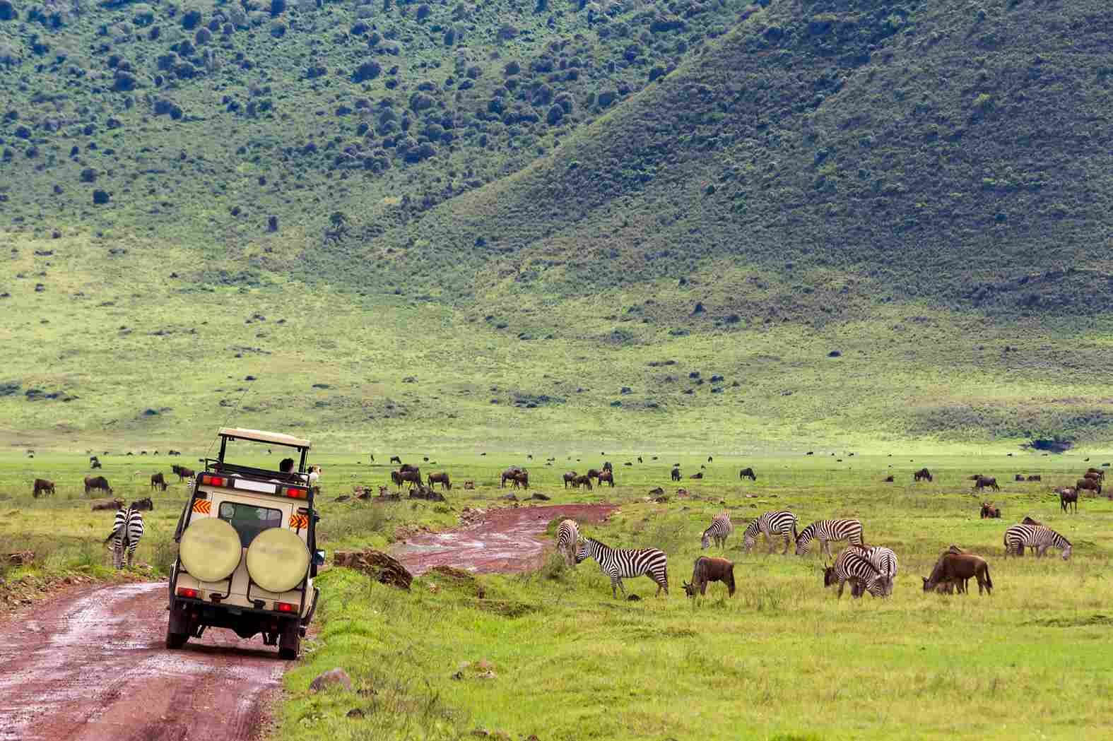Krater-Safari im Ngorongoro